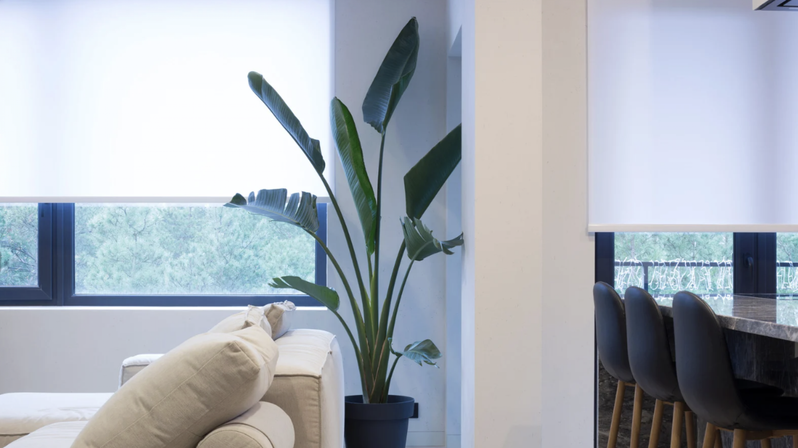 Rolgordijnen voor raam