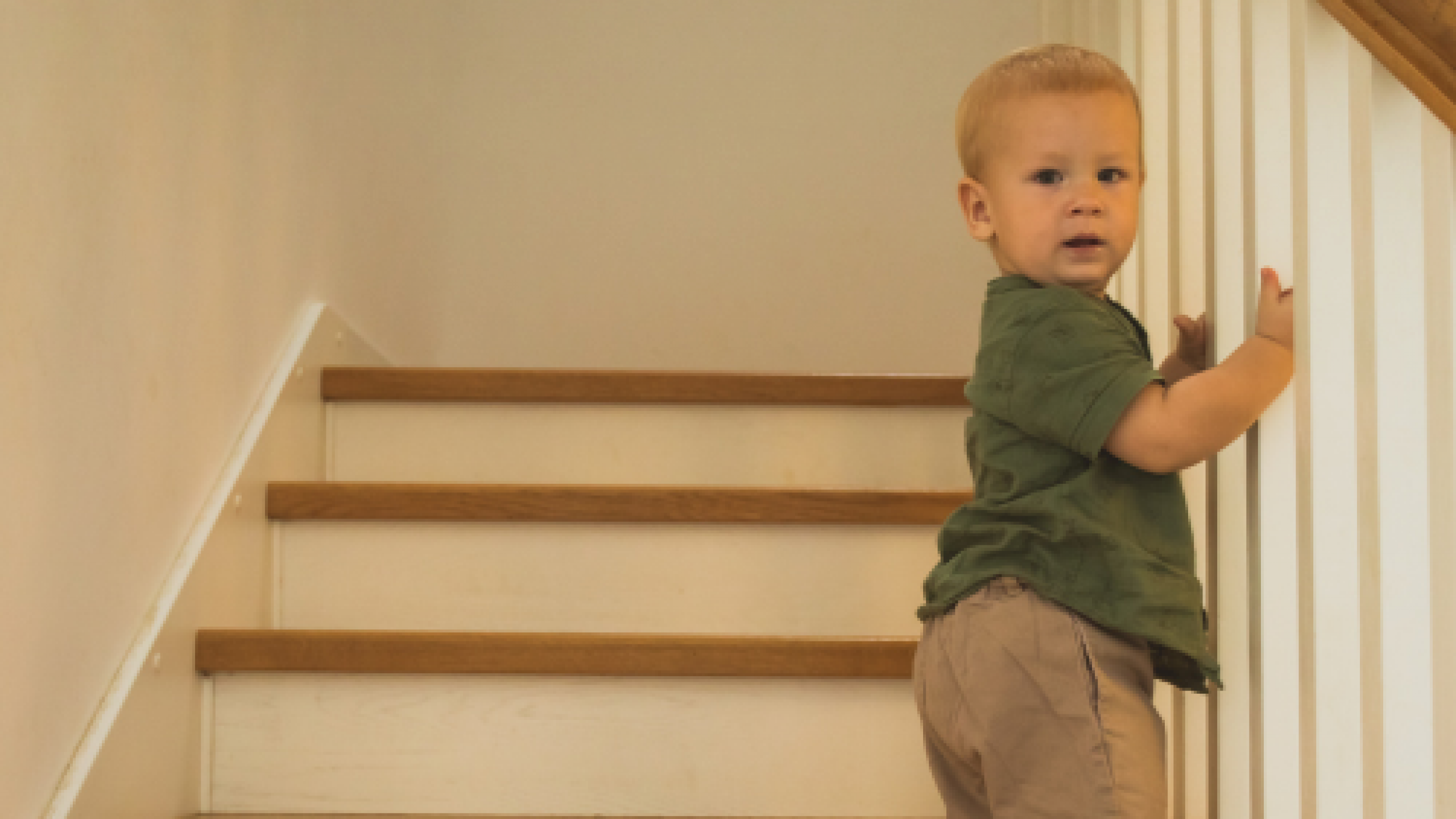 Rolgordijnen voor raam